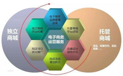 電子商務(wù)專業(yè) 實業(yè)運營與建設(shè)的就業(yè)新藍(lán)圖